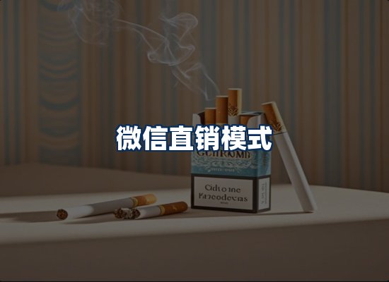 专业团队办公环境